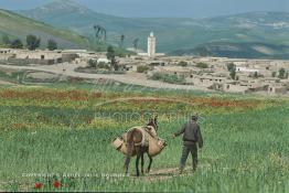 Image du Maroc Professionnelle de  Un vendeur ambulant, nommé (Attar) se dirige vers un village dans la région de Zaouiat Cheikh non loin Kasba Tadla pour liquider sa marchandise la plus rustique, constituée d’ustensiles de cuisine en terre cuite, Mercredi 22 Mars 1989. Ils sont nombreux ces commerçants qui sillonnent les pistes et les routes du Maroc de village en village il n’y a pas longtemps ils se contentaient d’un (chouari) bât formé de deux paniers que l’on place sur le dos des mulets ou des ânes, les deux couffins sont remplis de marchandises. De nos jours ce sont des tricycles voir même de grands fourgons dans lesquels on peut trouvée tous les denrées alimentaires et accessoires de la maison. (Photo / Abdeljalil Bounhar) 